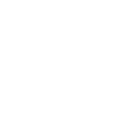 E Power